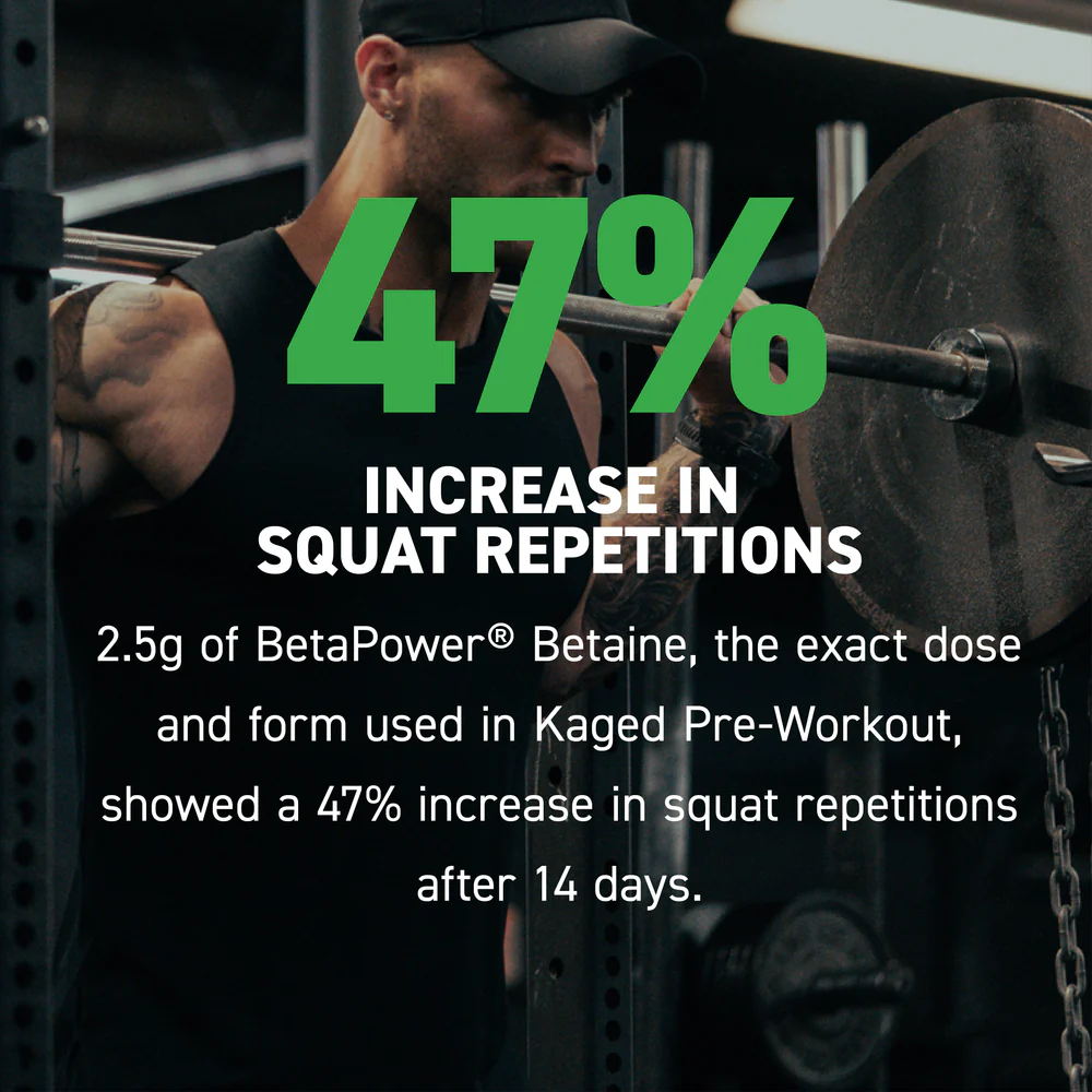 PRE-WORKOUT (PRE-FECEST)
